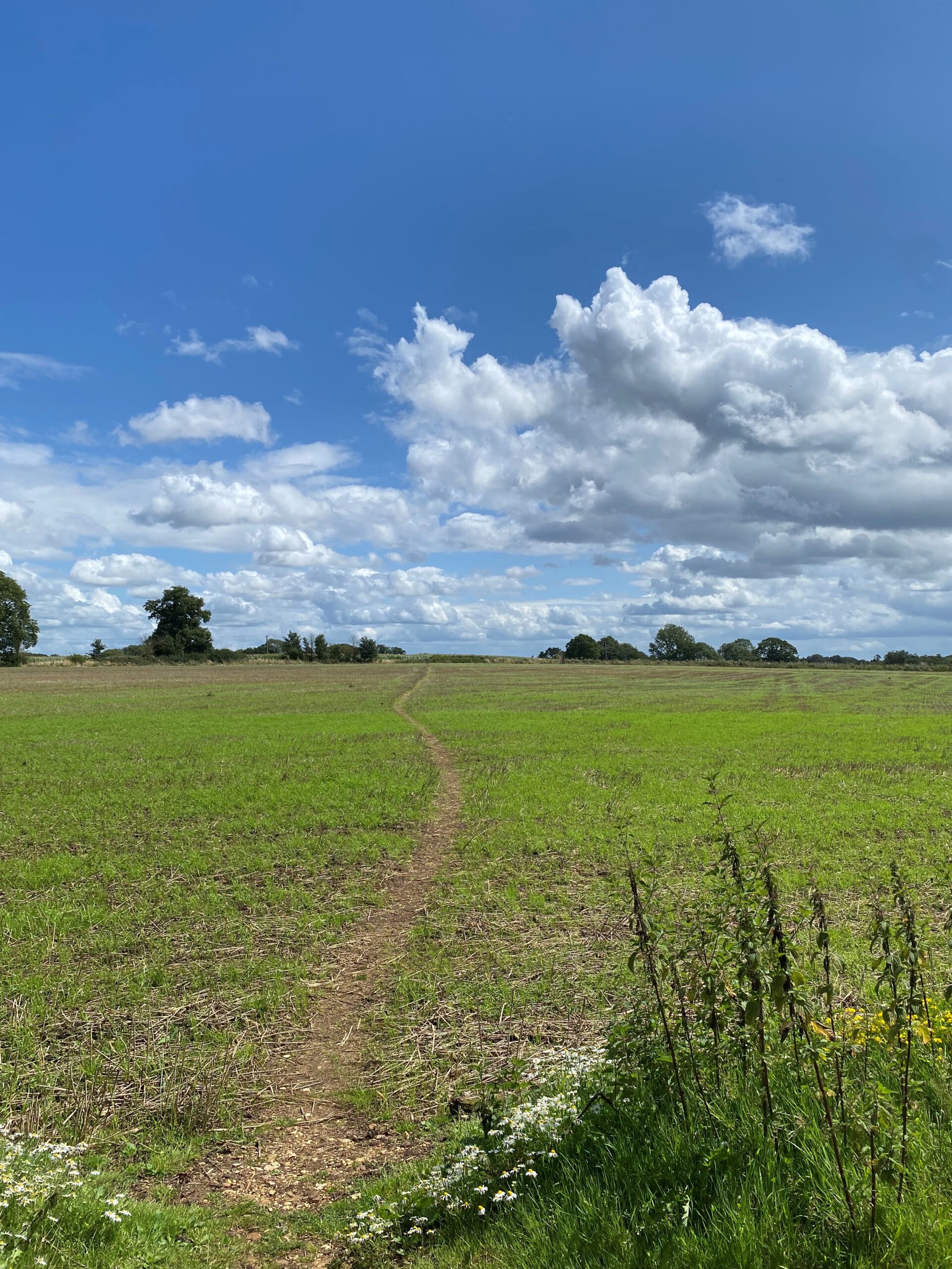 Run through fields at Mapledurham Backyard Ultra