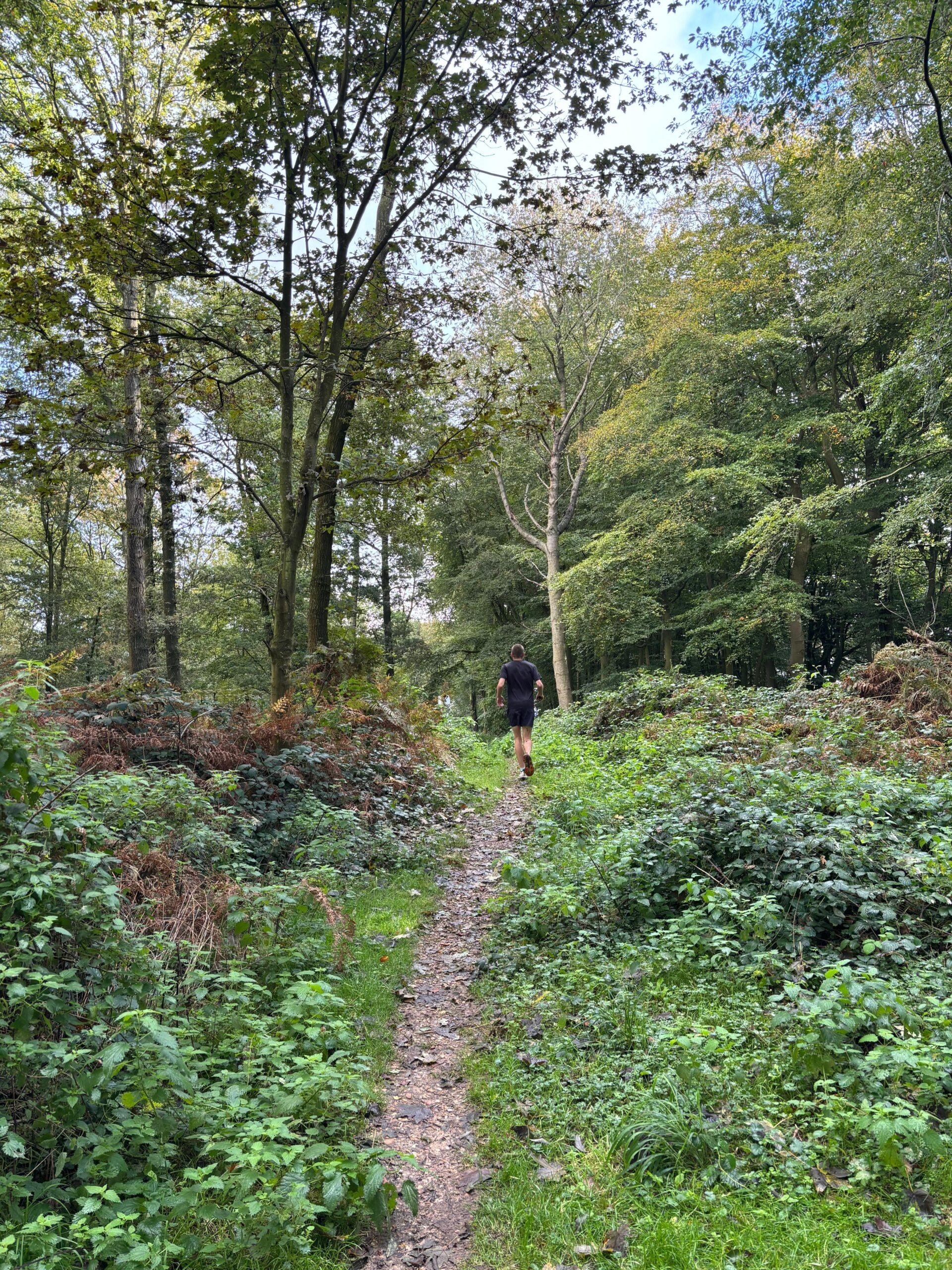 Run through the woods at Mapledurham Backyard Ultra